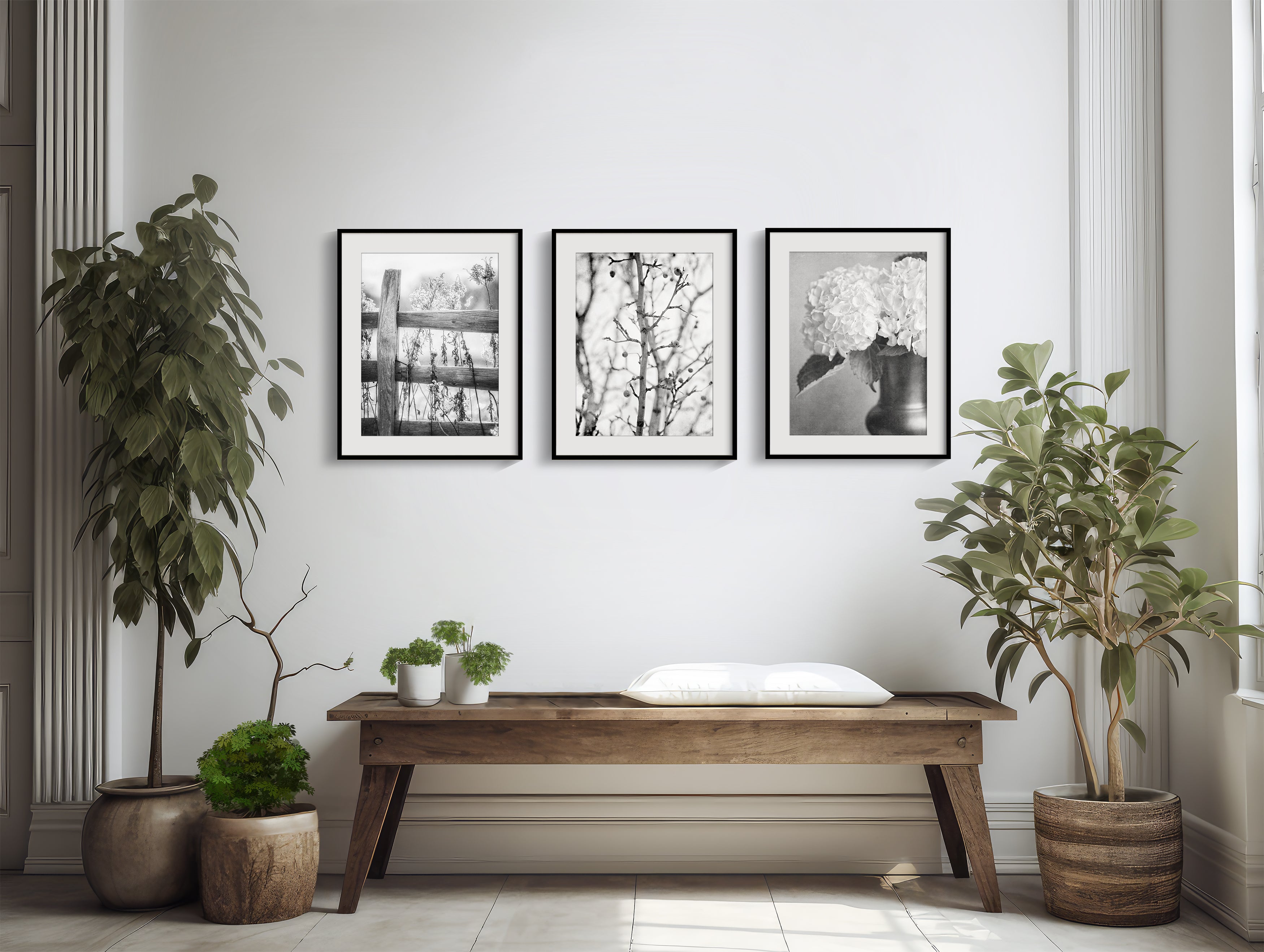 Set of 2 16x20 buy White Roses on Black Wall Art Canvas Prints